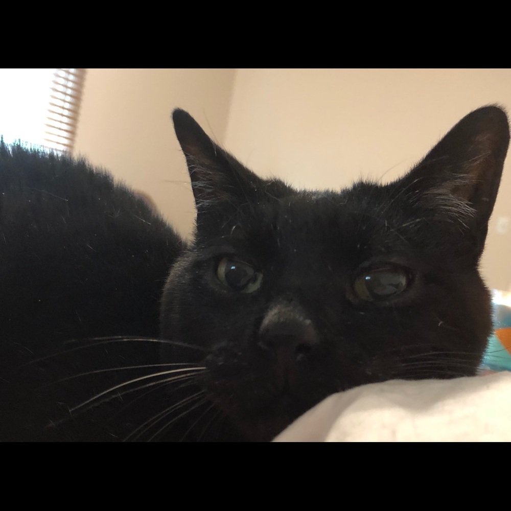 Meet your Posher, Terry